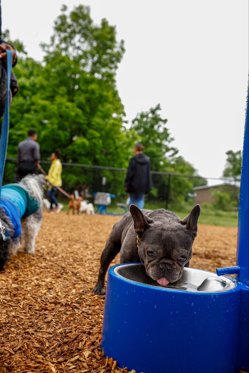 DC Parks & Recreation #WhereFunHappens tweet media