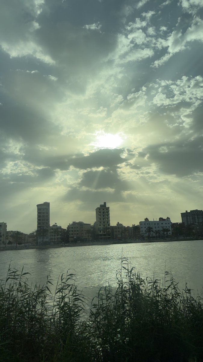 يَحْيَىٰ tweet media