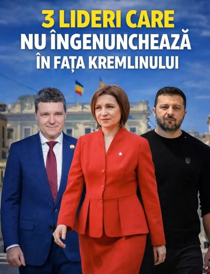 maru hugo tweet media