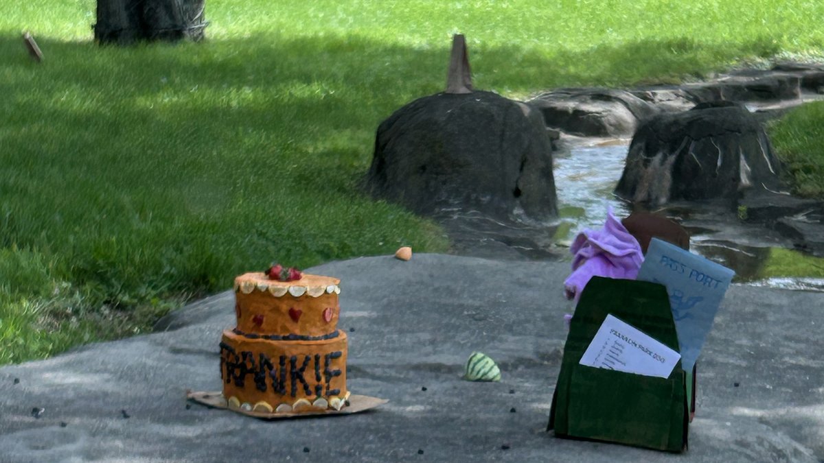 PghZoo's tweet photo. Bon voyage, Frankie! We’ll miss you! Our keepers here at the Zoo threw Frankie a joint birthday/going away party on Saturday morning. His birthday is later this month, but he will soon be leaving us to go to Boston. Learn more here: https://t.co/rrfmFL9bFz https://t.co/mItMFSEJ8t