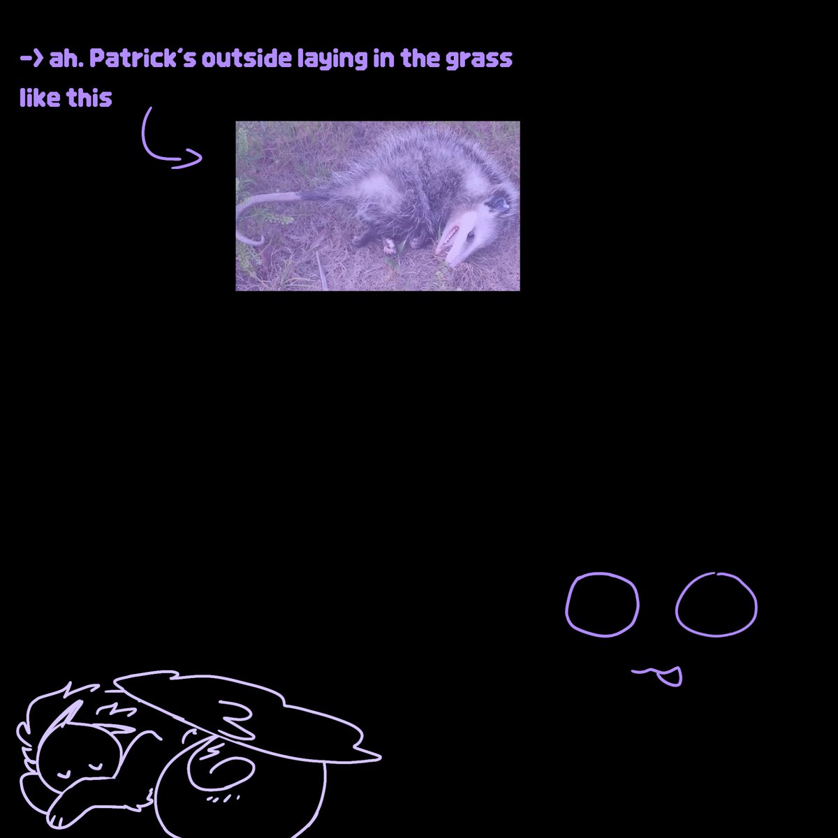 Patrickk tweet media