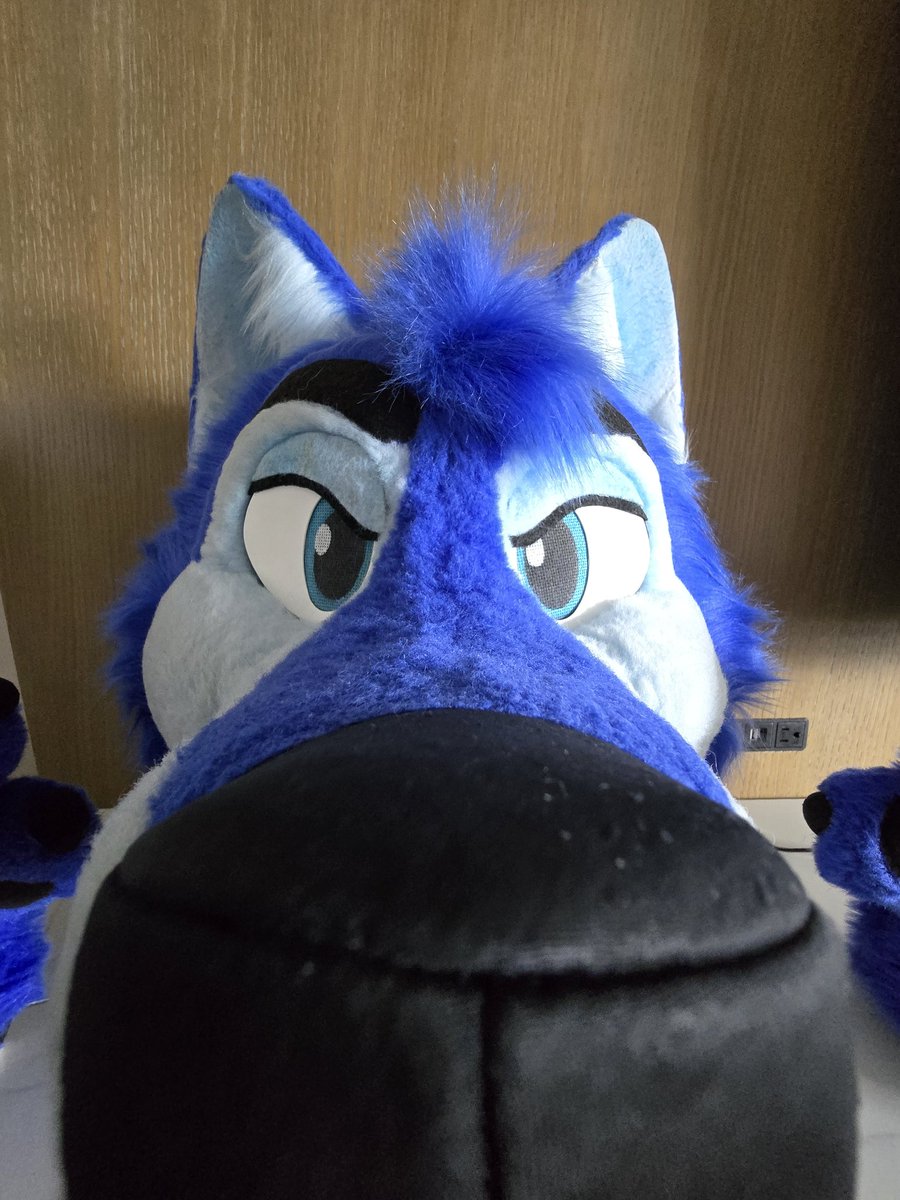AbsoluteJoonit's tweet photo. Top tier snoots of my moots https://t.co/Zok6bh6ruK
