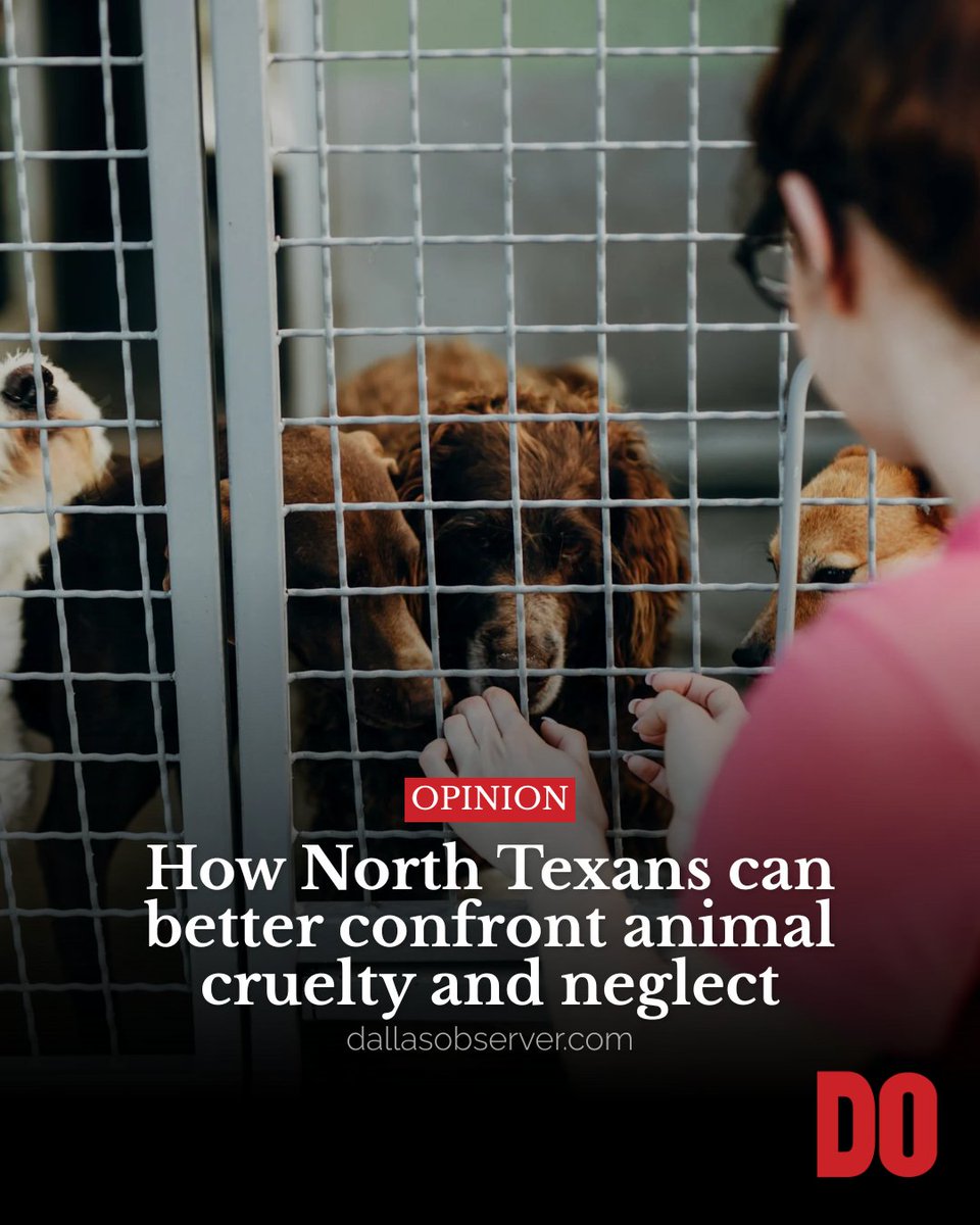Dallas Observer tweet media