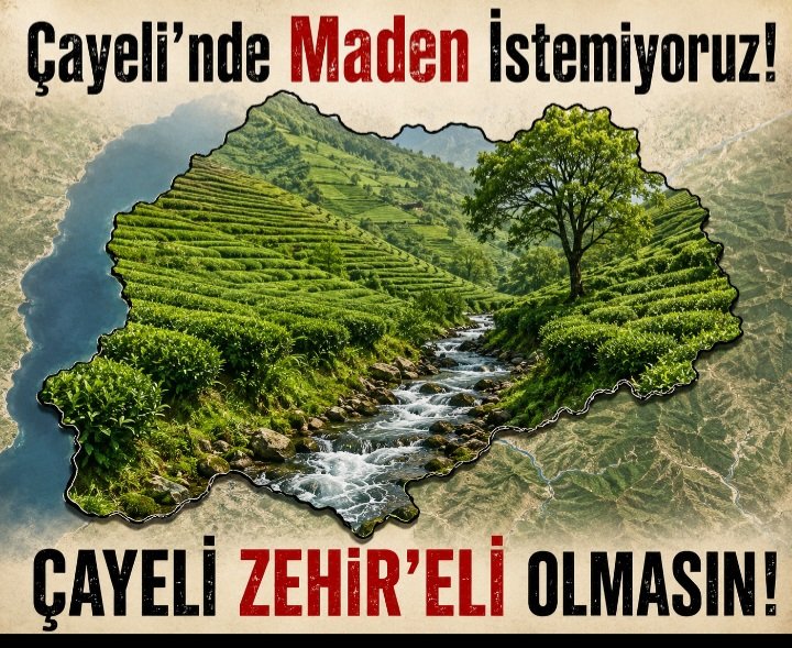 Karıncalar Karadeniz tweet media