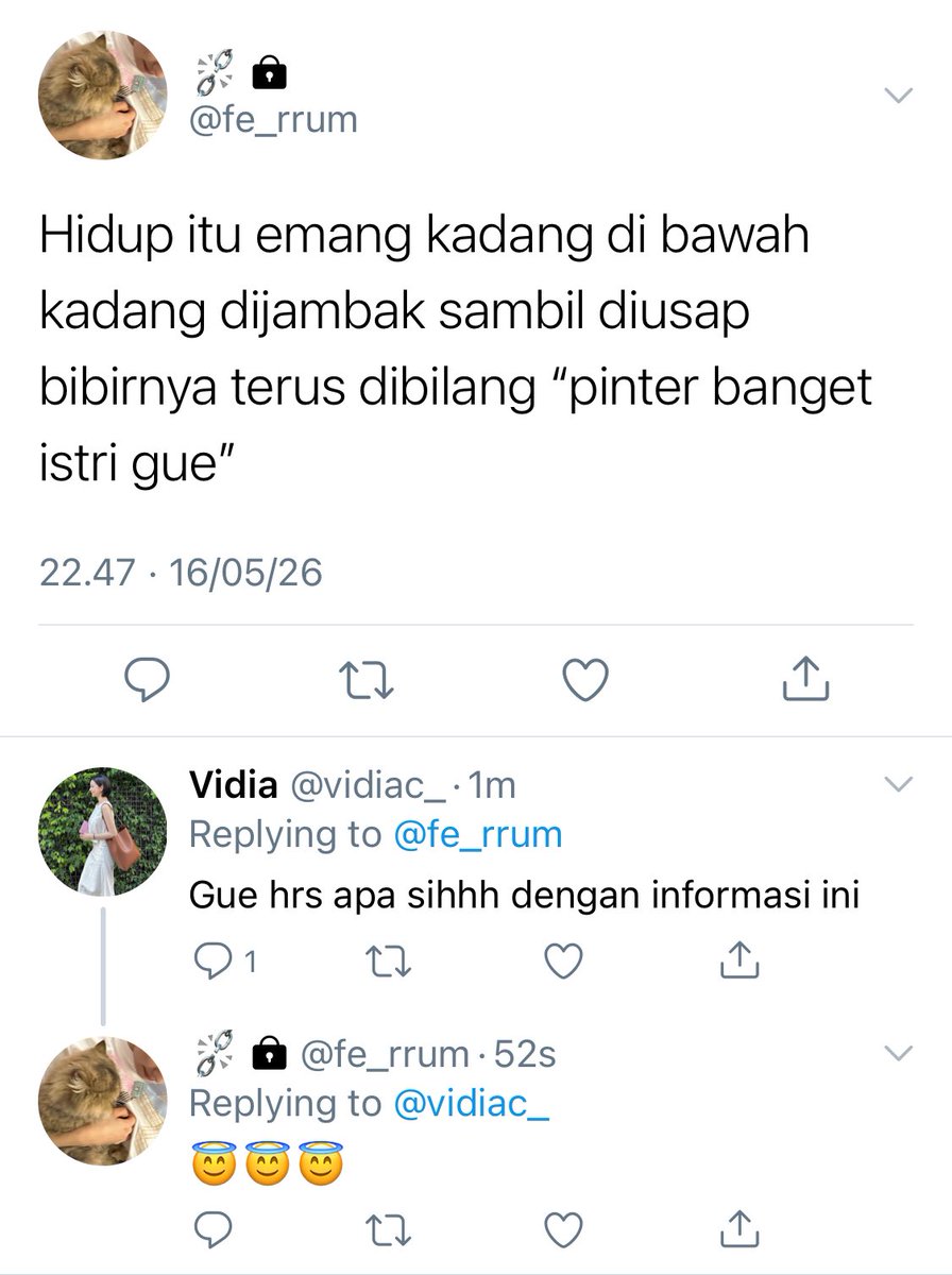 F. tweet media