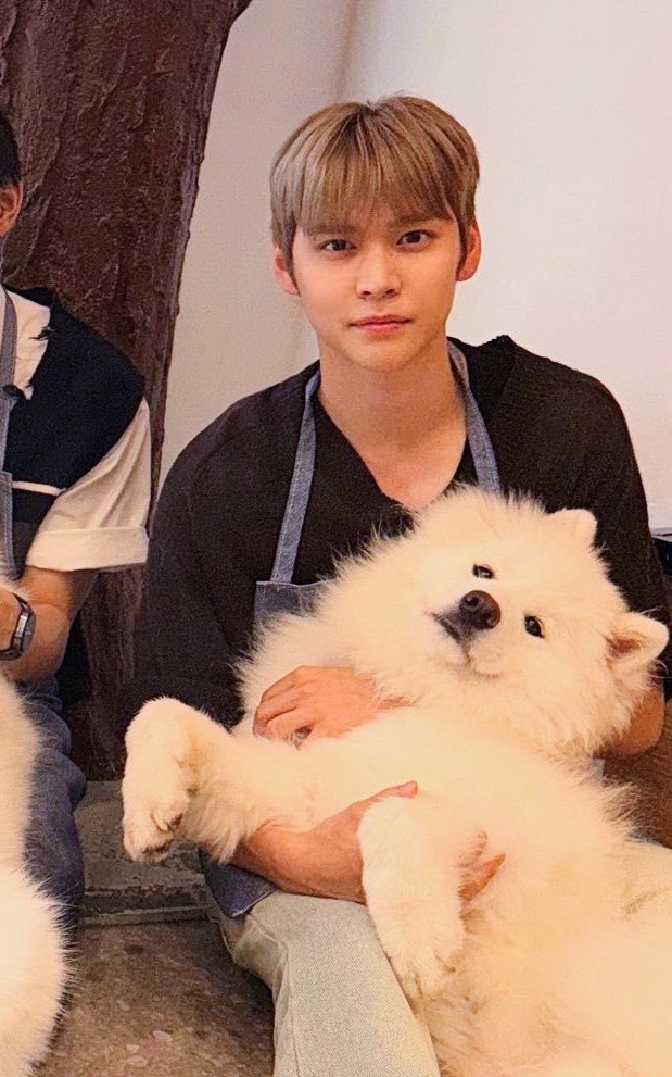 Post by jn♡︎ on X: 🤍🐶🐾