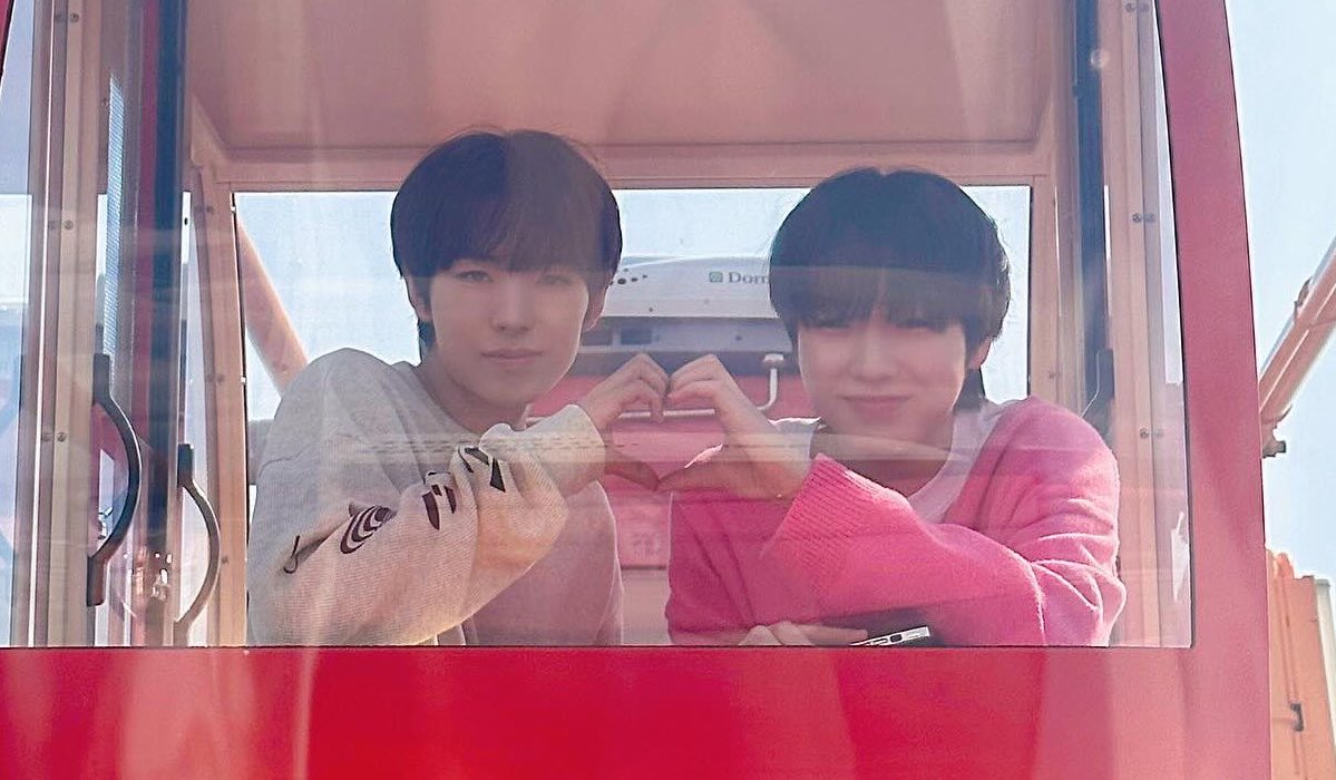 낙타 tweet media