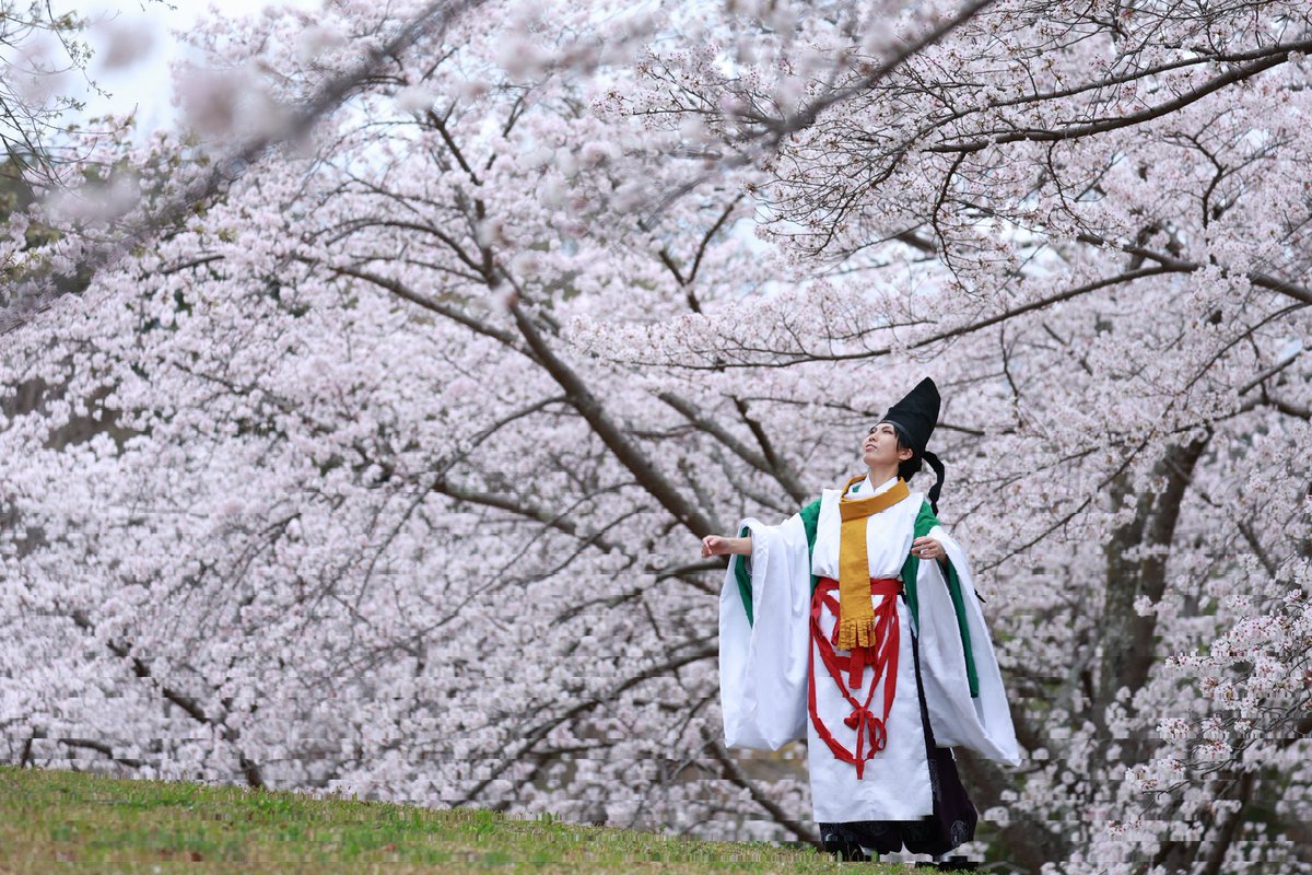 cosplay/コスプレ】 ―sw yrsgー 未来で、 私のもとへ降ってくる蝶を 私