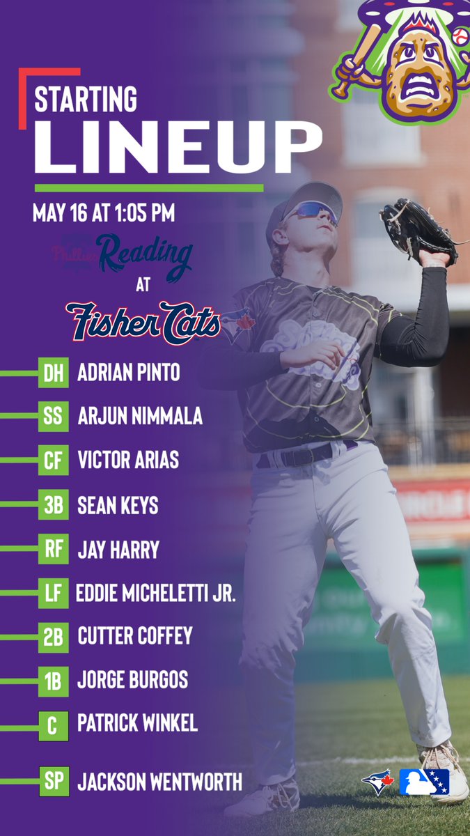 New Hampshire Fisher Cats tweet media