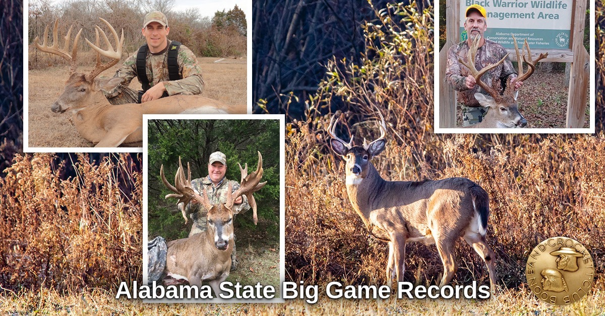 Boone and Crockett Club tweet media