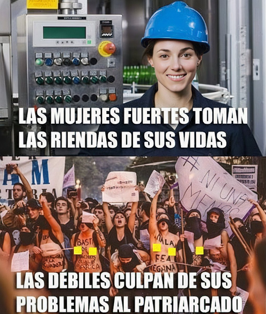 Rocío Infante tweet media