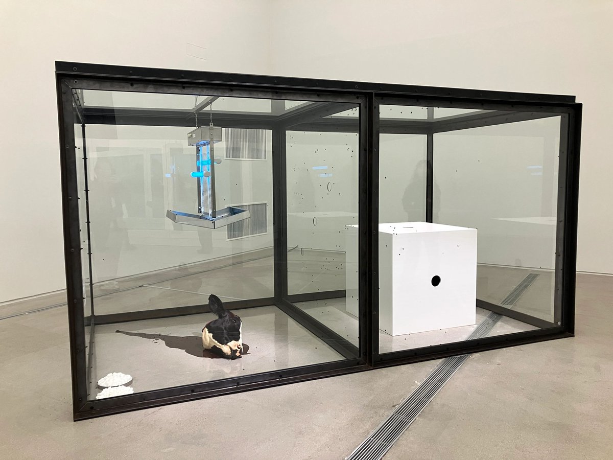 ダミアン・ハースト展（韓国・国立現代美術館）開幕レポート。アジア初