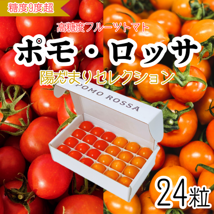 MASA11831's tweet photo. 大好評につき品切れしていた「陽だまりセレクション」を再販いたします！
また、「もっとたくさん食べたい！」とのお声をいただいていたので、本日から赤とオレンジを1kg詰め合わせた「味くらべ　ボックス」も新登場！

シーズンもいよいよ終盤に差��掛かってきました。
品切れになる前にぜひお試しください！

気になったらクリック👇
🍅陽だまりセレクション
https://t.co/uvERESmfVv
🍅味くらべボックス
https://t.co/bKyWoxYf6U

#お取り寄せ #ポモロッサ #産直 #食べくらべ #フルーツトマト