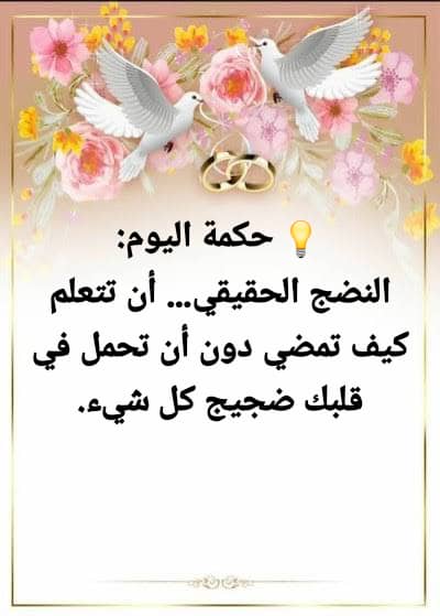 صالح بيرق tweet media