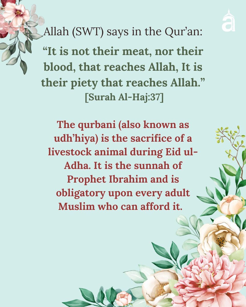 internatio67366's tweet photo. 🌙 Reminder: Make the Most of the First 10 Days of Dhul Hijjah 🌙

The Prophet ﷺ said:
“There are no days in which righteous deeds are more beloved to Allah than these ten days.” (Bukhari)

#DhulHijjah #ZilHajj #FirstTenDays #DayOfArafah #EidUlAdha #Qurbani #IslamicReminder https://t.co/ZgtFZT6Xez