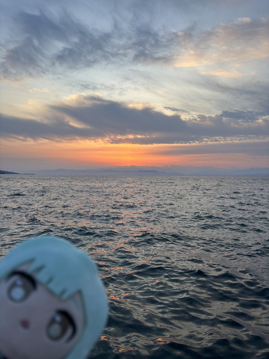 椿井 tweet media