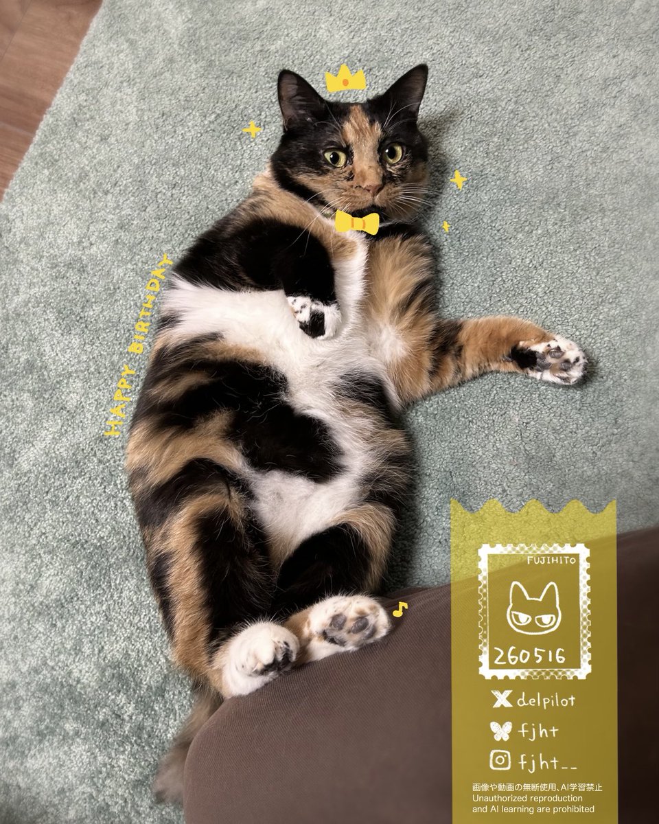 ふじひと🐾ひび猫5/20発売 tweet media
