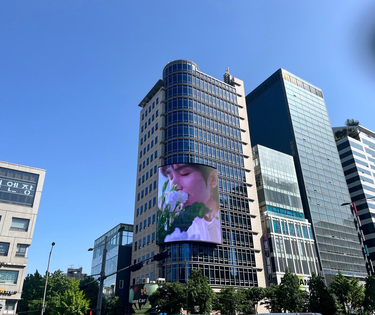 롱롱 tweet media