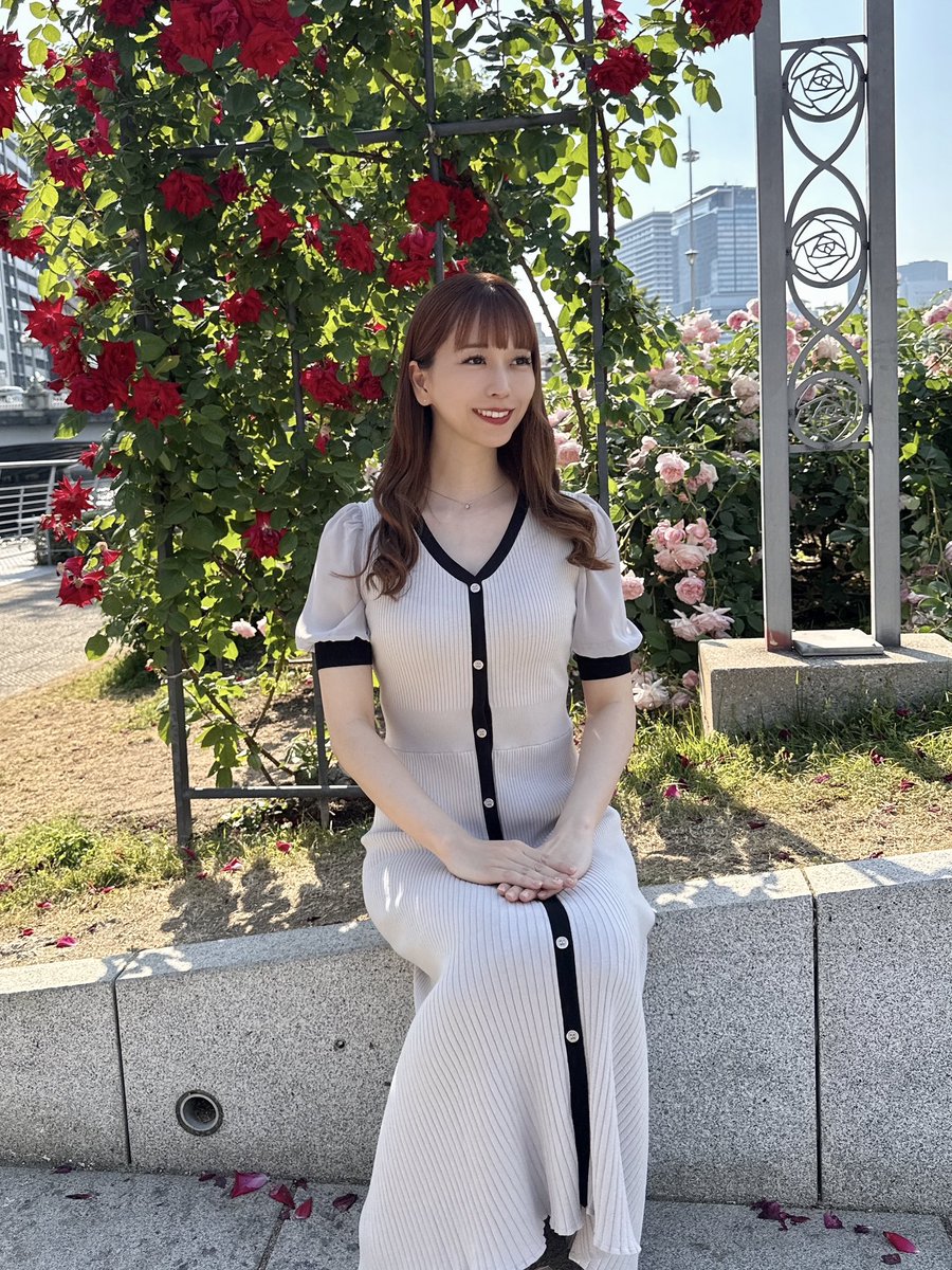 山口ゆみか|弁護士 tweet media