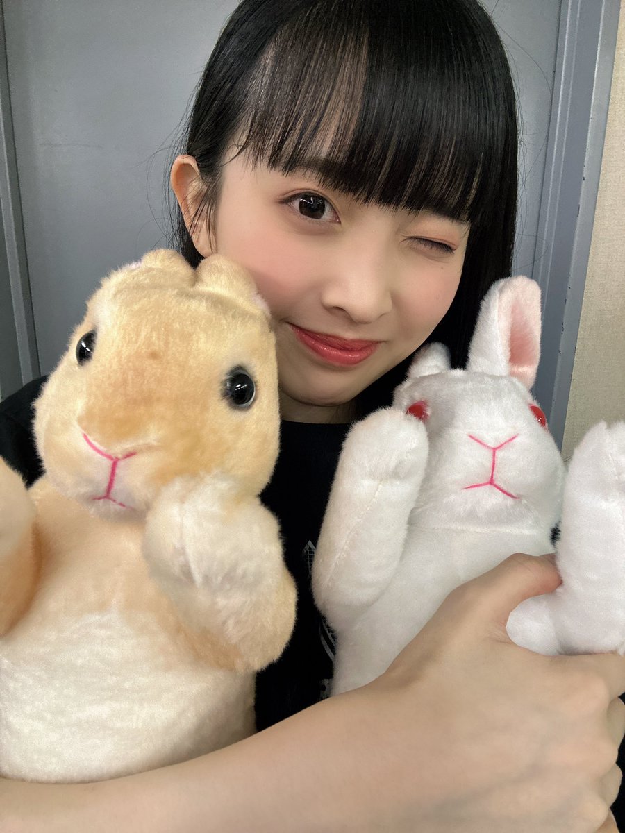 うさぎ好きマスター ウサギマスター検定3級教科書の販売！ | 一般社団法人 日本