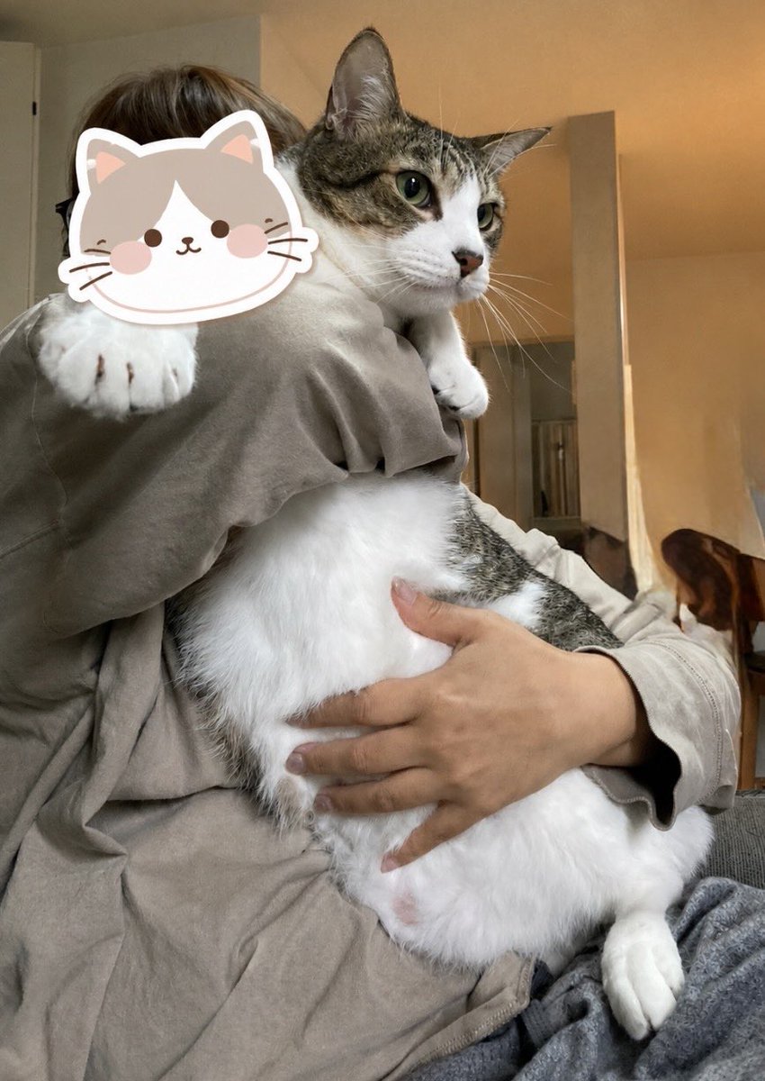 ねこ好き デカいの捕まえました #猫のいる暮らし #猫好きさんと繋がりたい