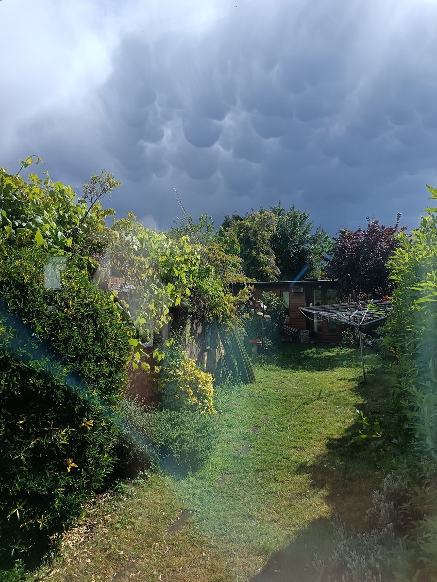 SurreyAlist's tweet photo. @metoffice https://t.co/yOFco6P3Xv