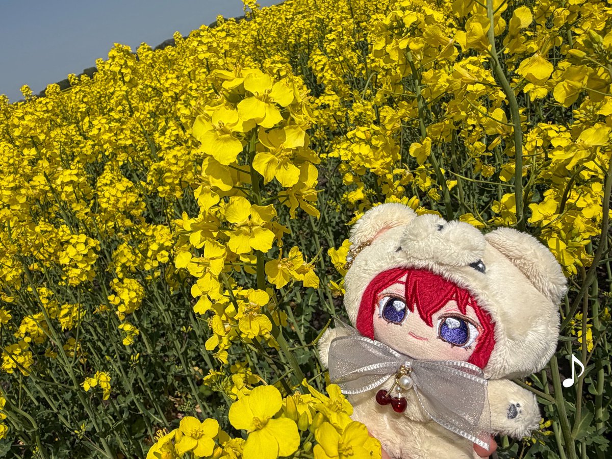 ぽーピ tweet media