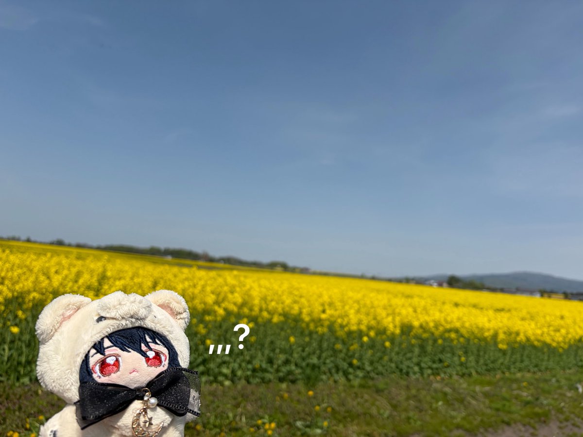 ぽーピ tweet media