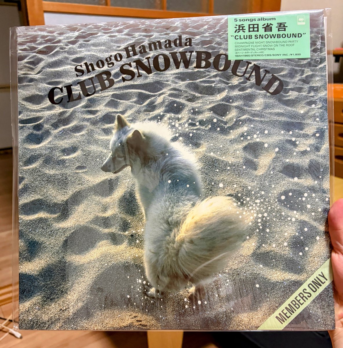 浜田 省吾 レコード 浜田省吾 君が人生の時 sixteen records シックス