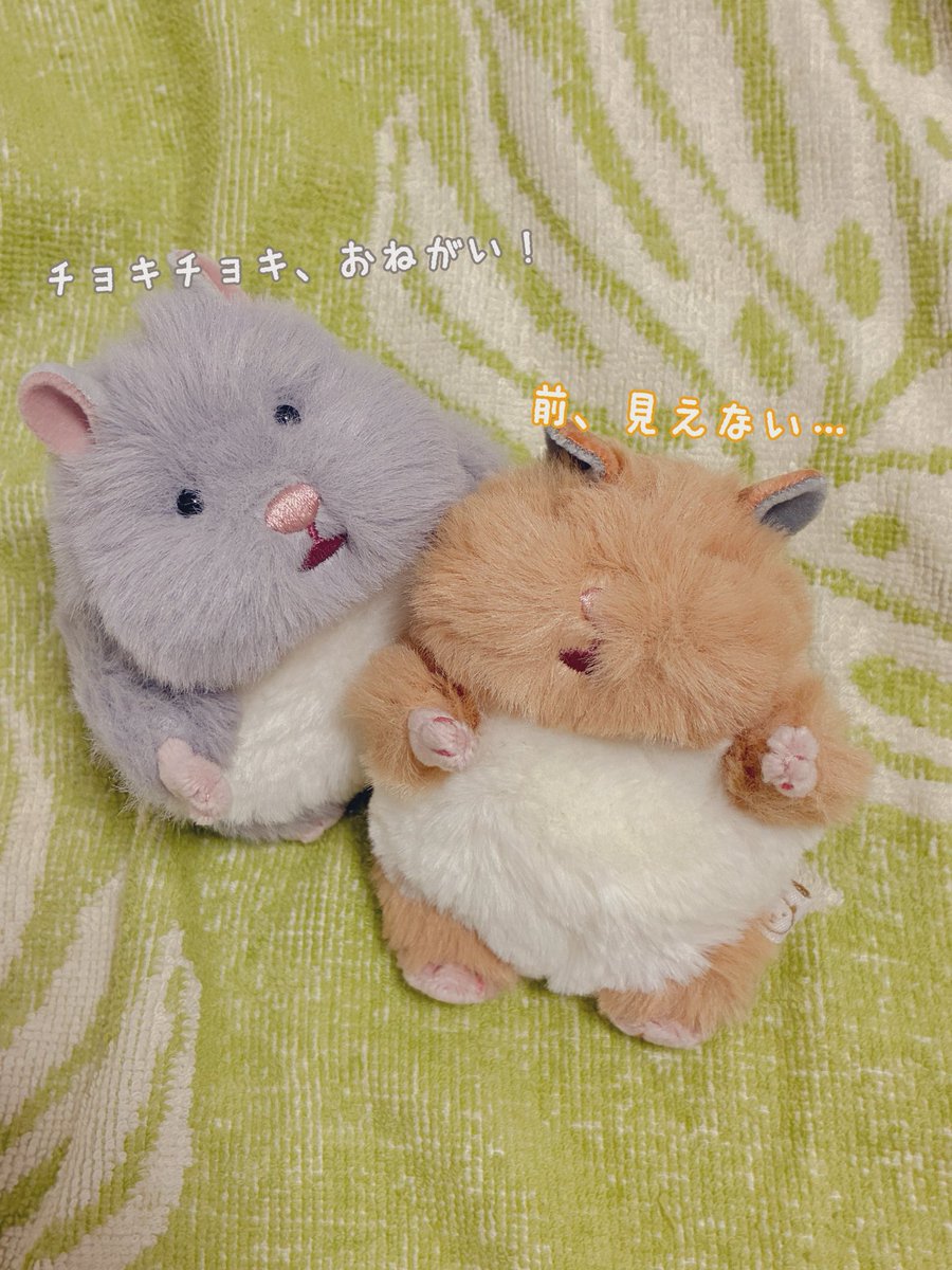 りん tweet media