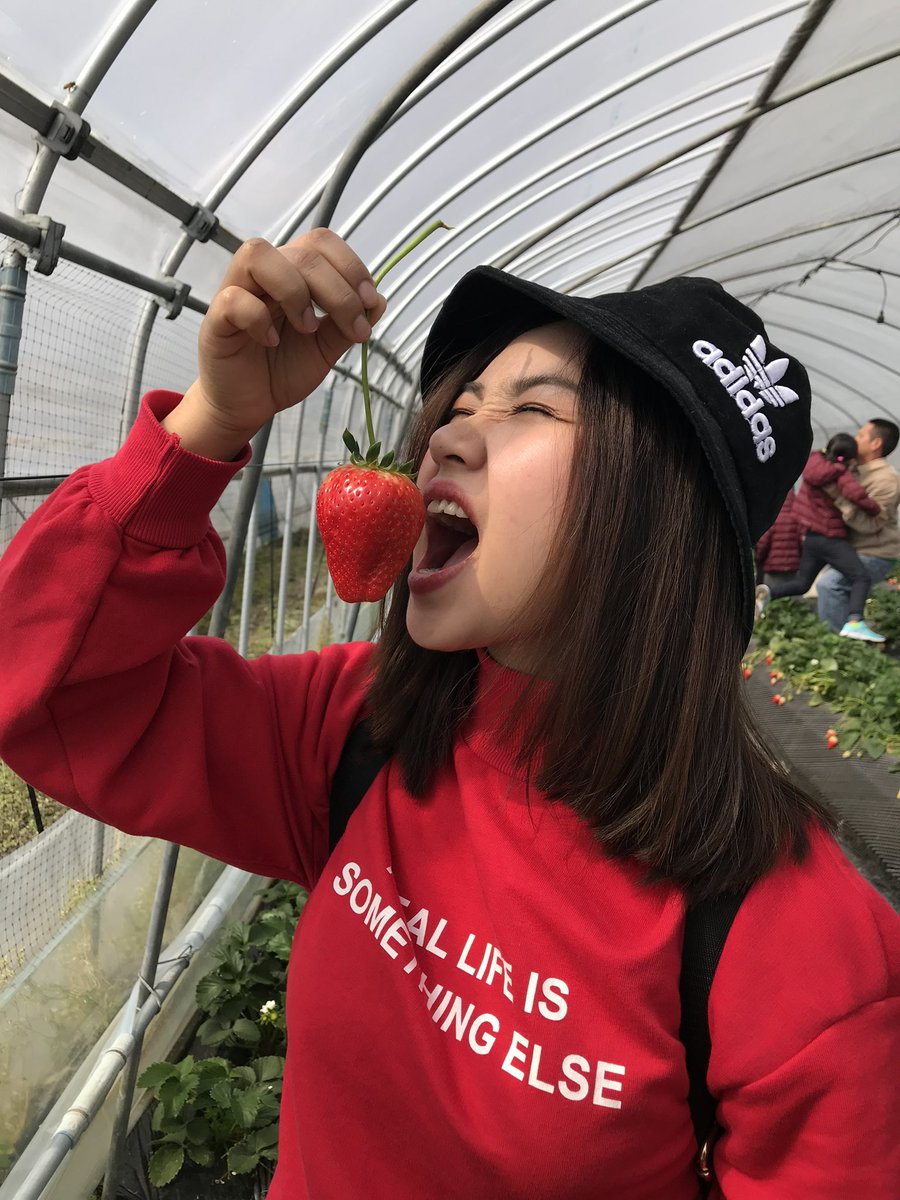 ザン🇻🇳 🇯🇵ベトナム出身♡日本 tweet media