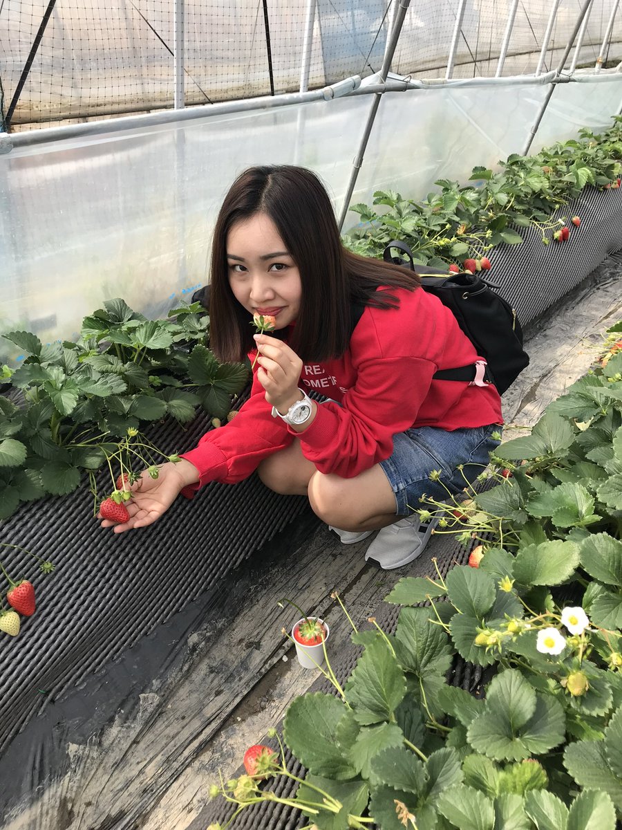 ザン🇻🇳 🇯🇵ベトナム出身♡日本 tweet media