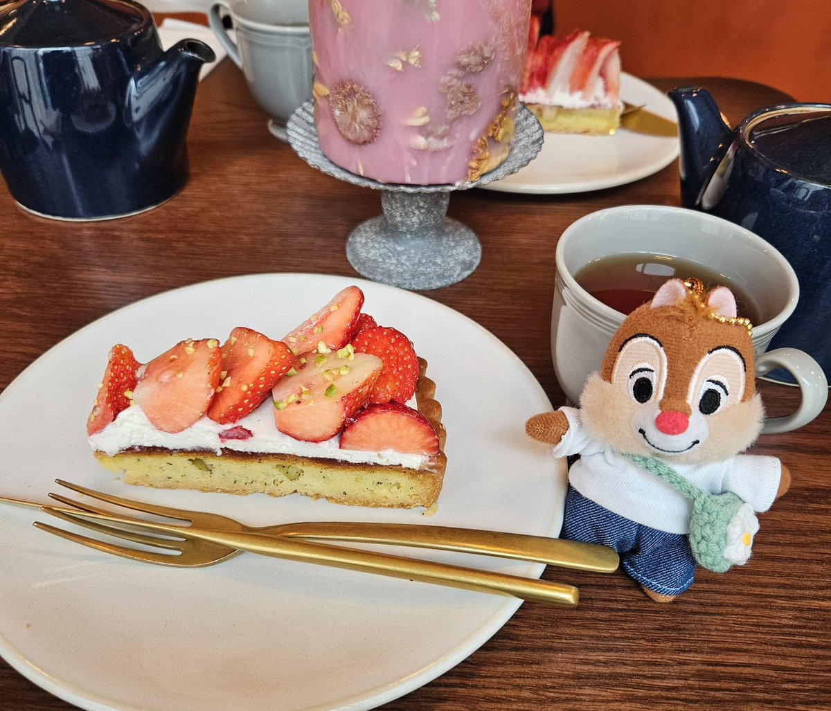 ayakabear's tweet photo. こちらは4月の写真なんですが可愛いので見てください(笑) https://t.co/AYCVueLiUL