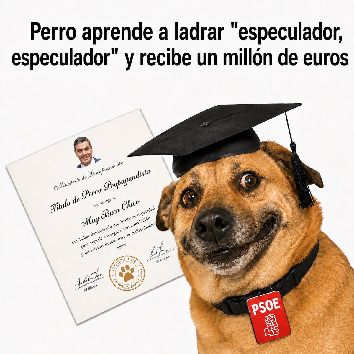 Juan Ramón Rallo tweet media