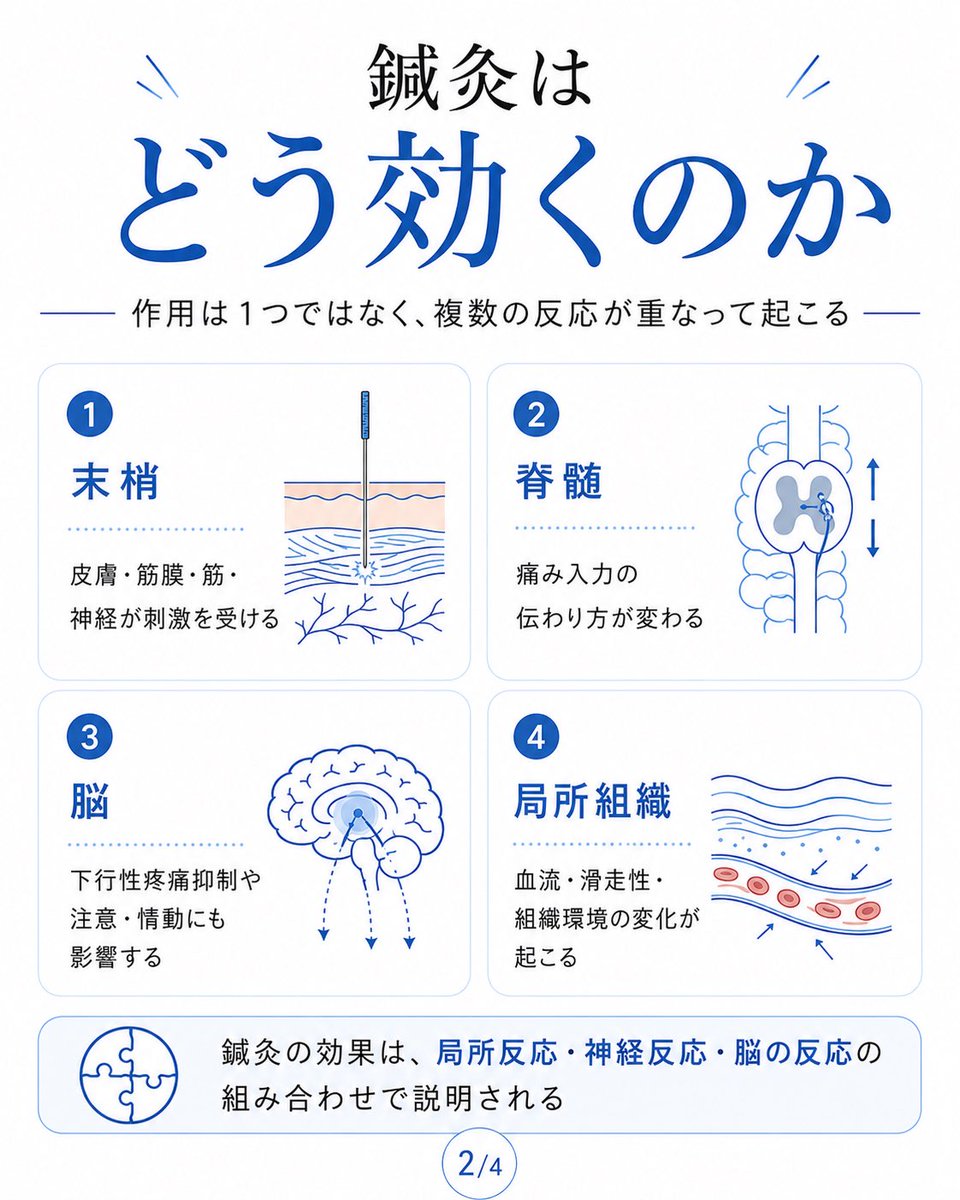 和装はりきゅう師種市X tweet media