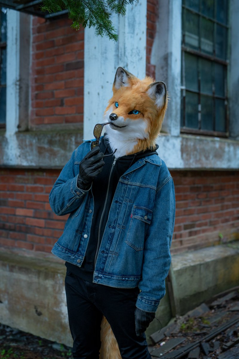 しゃとる（雷鳥の人）🦃🦊 tweet media