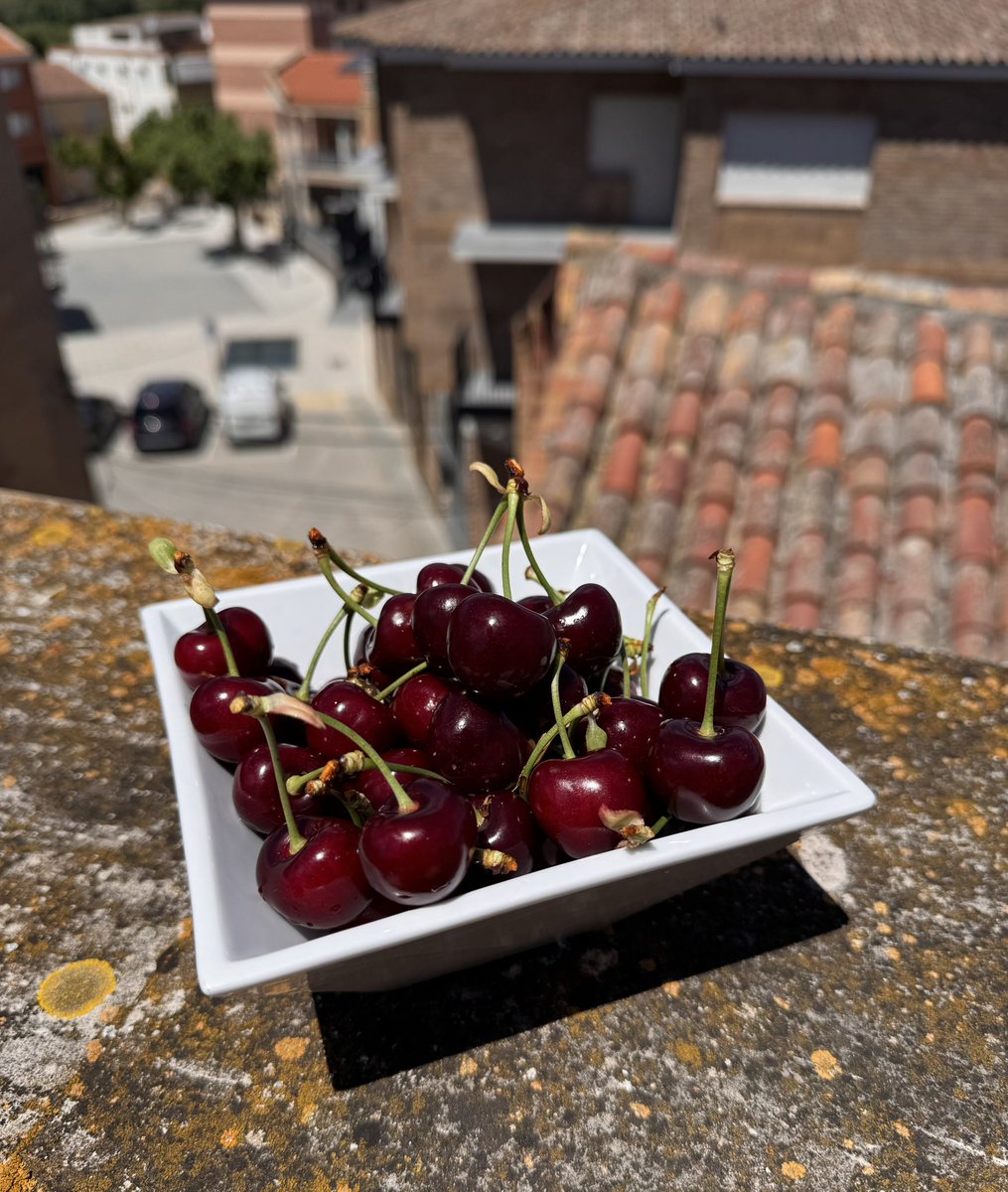 ManelSoleA's tweet photo. 🍒🍒 #Cireres #Km0 d’Albert Agustí de #LaGranjadEscarp, collides aquest matí a la Plana La Sitja…ara les deleitarem per dinar.
Petits plaers de viure al poble ❤️❤️
@RFruita
@ZoiloJove
@fvalles82
@gunni_jvl
@productorscat
@sangcatalana https://t.co/QQn0cEHUSb