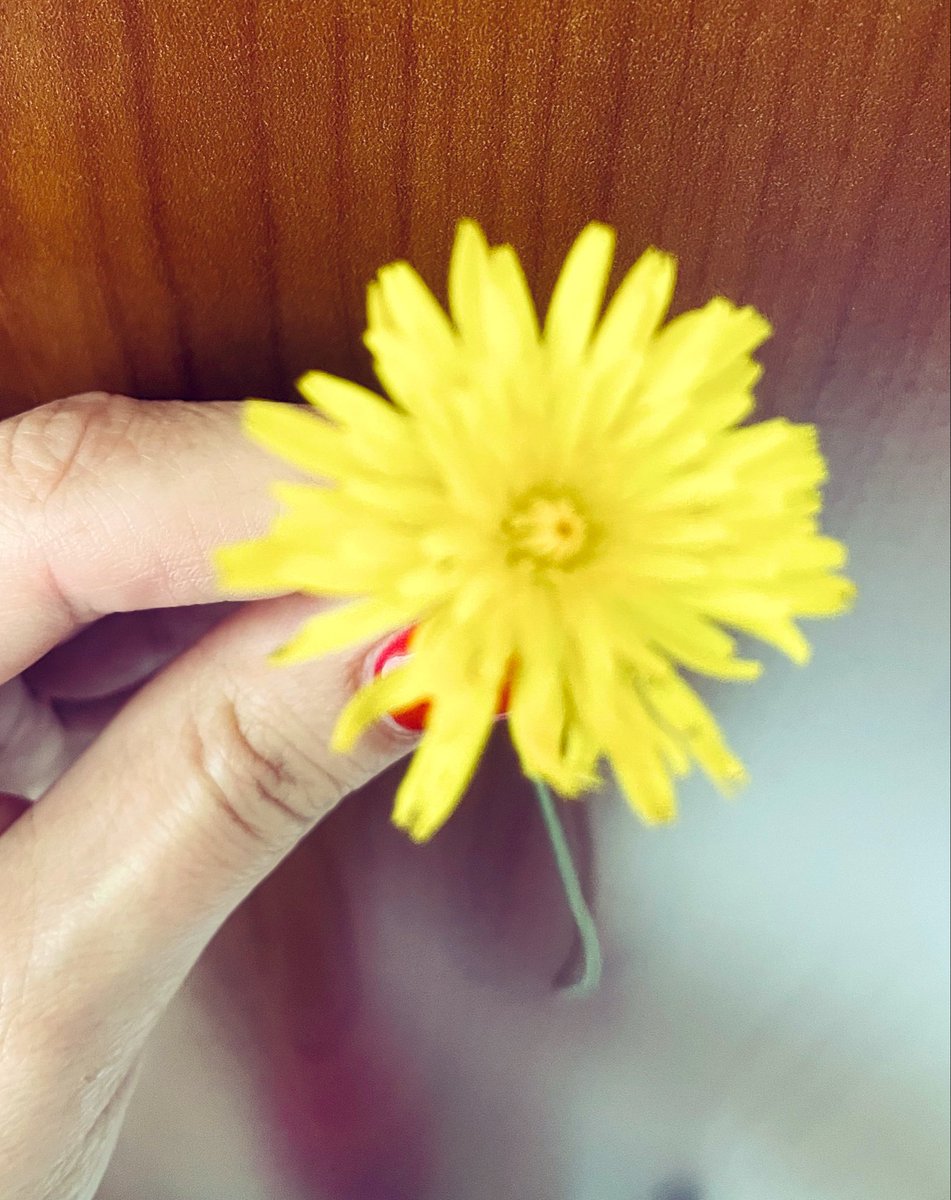 Pixie 🍀 tweet media