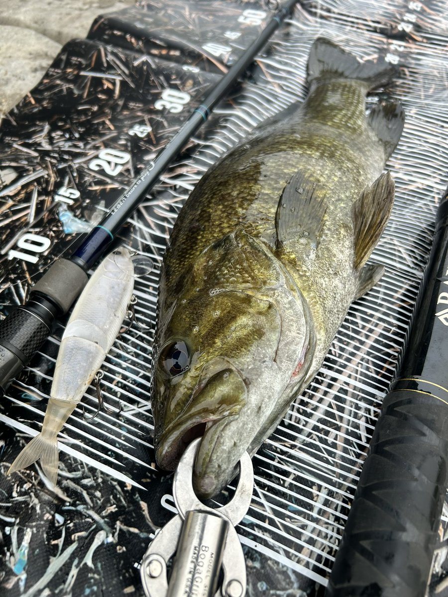 BUTZ (@BUTZbassfishing) / Posts / X