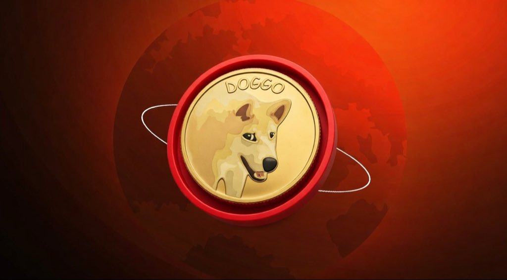 Grokismeme's tweet photo. @MyDoggoArmy $Doggo is king https://t.co/RLwSBsUrD4