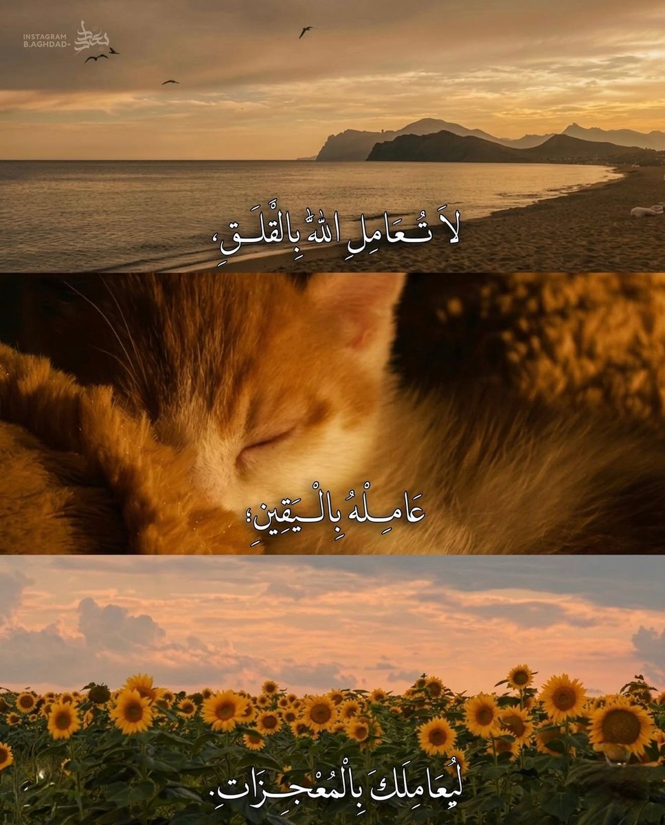 فــذكِّر tweet media