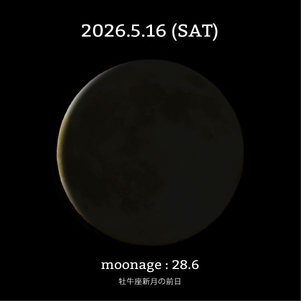 moon_cycle tweet media