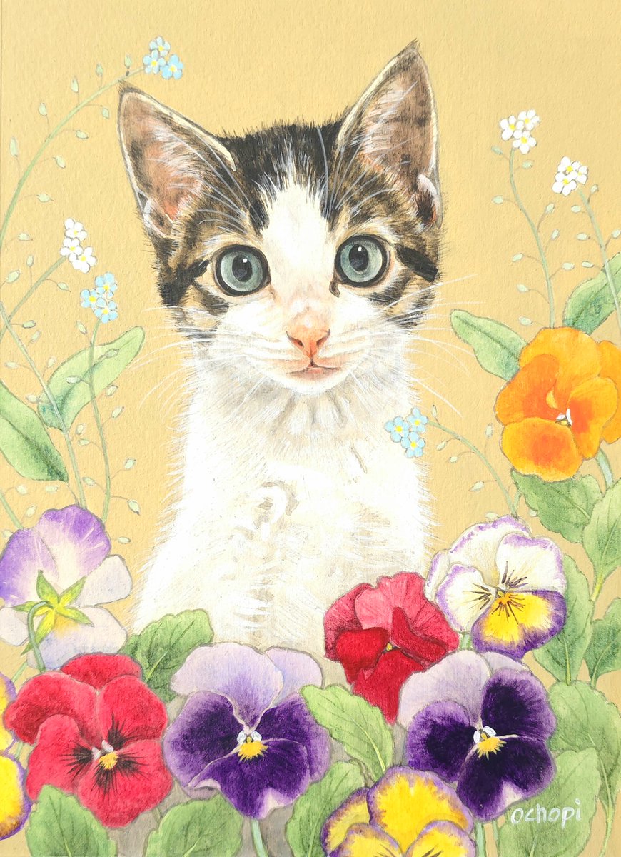 ねこの引出し tweet media