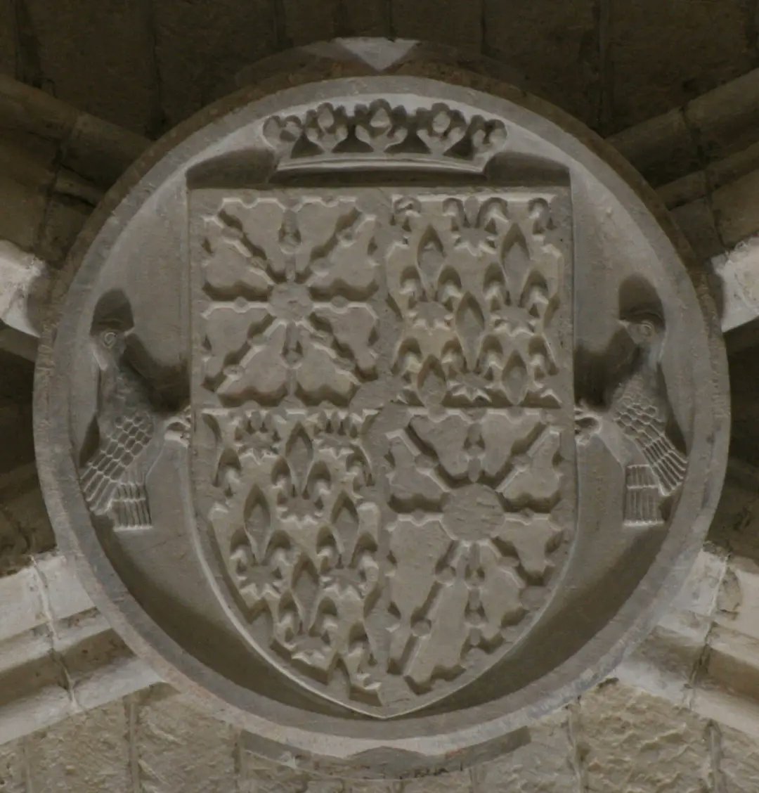 Media image