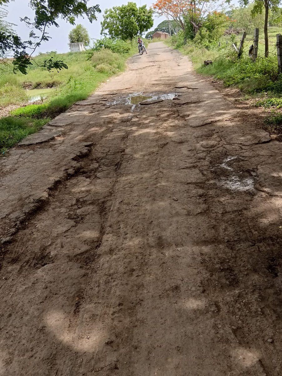 allamchiru's tweet photo. Hi @Lokesh Anna, kindly look into the condition of our roads and please help in laying/restoring new roads in our village.

Address: Panguluri Vari Palem, Jarugumalli Mandal, Prakasam District.@ncbn @Satya_tdp @PawanKalyan @prakasamDistOfc https://t.co/eiVjE397lp
