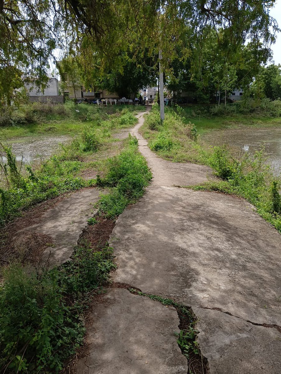 allamchiru's tweet photo. Hi @Lokesh Anna, kindly look into the condition of our roads and please help in laying/restoring new roads in our village.

Address: Panguluri Vari Palem, Jarugumalli Mandal, Prakasam District.@ncbn @Satya_tdp @PawanKalyan @prakasamDistOfc https://t.co/eiVjE397lp