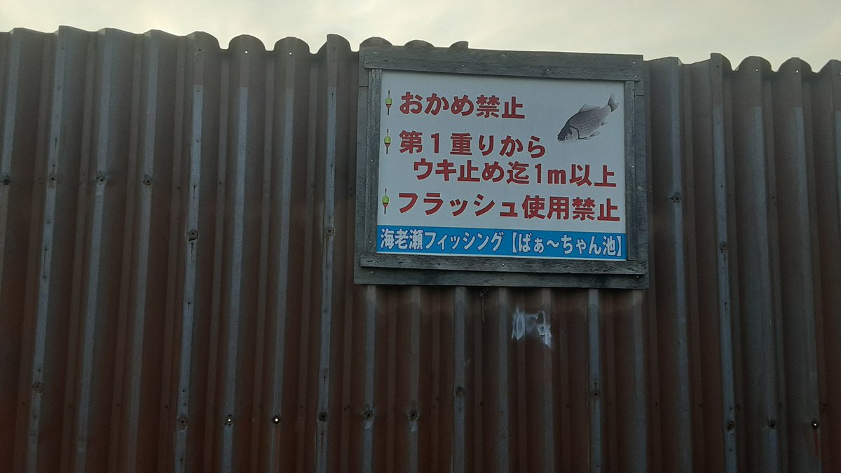 へら太郎 tweet media