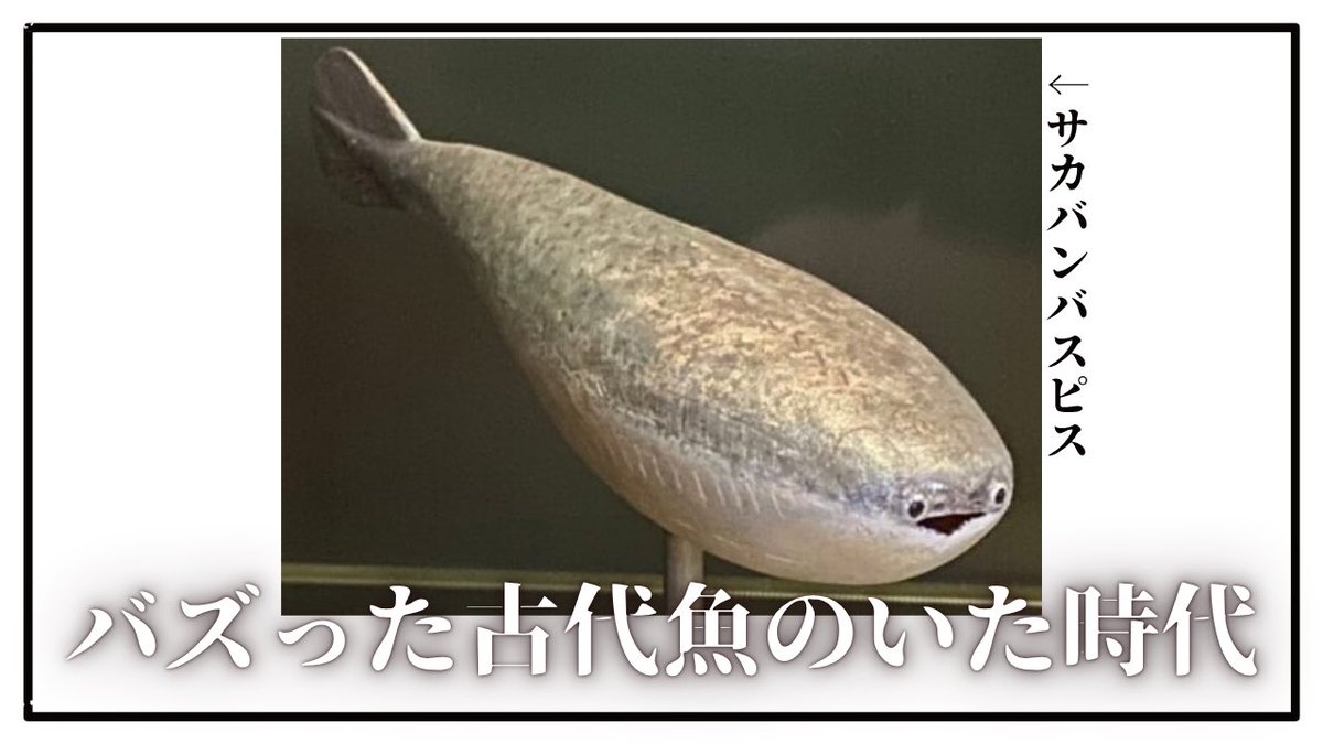 滔滔 すぶた tweet media