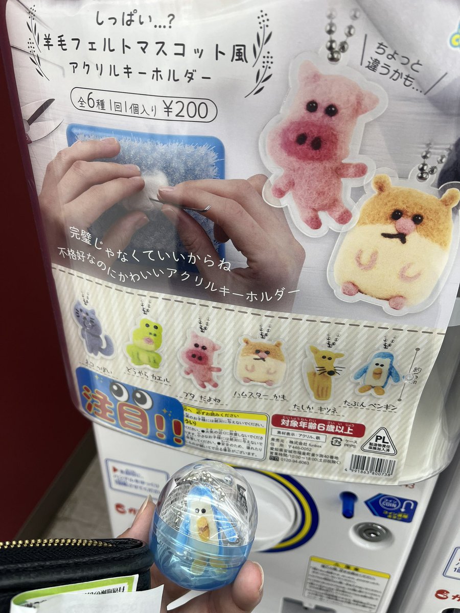 roku_panda's tweet photo. ここ最近回したガチャで一番良いまである https://t.co/G5pLMoXGGE