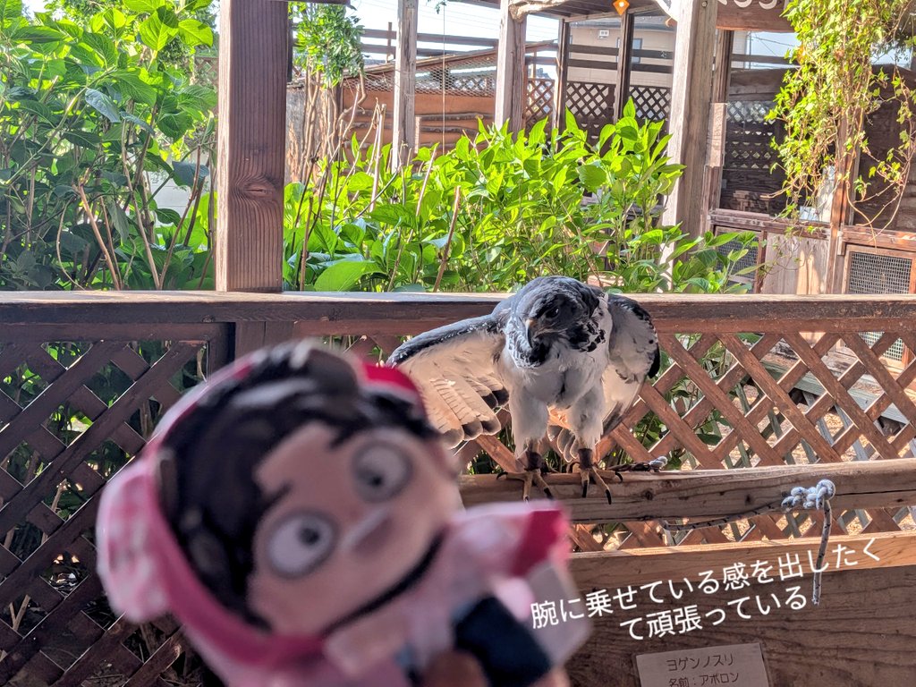 ゆ組 tweet media